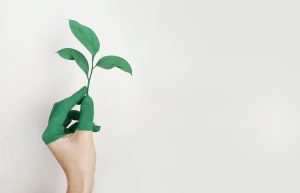 Lire la suite à propos de l’article Les aides à la rénovation énergétique