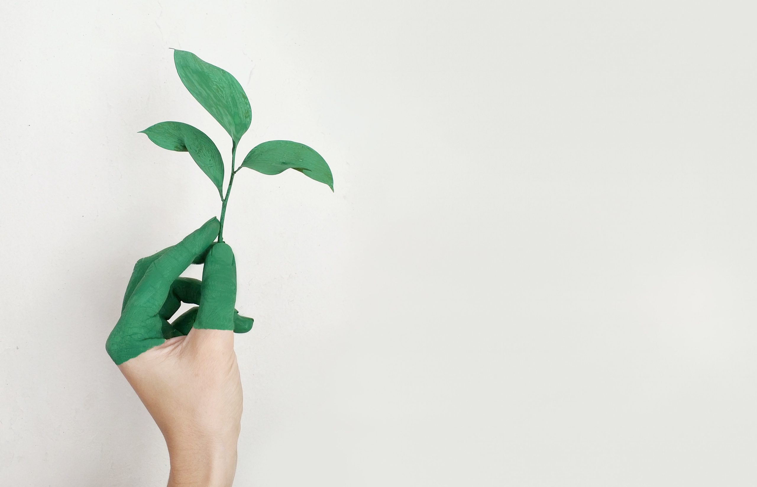 Lire la suite à propos de l’article Les aides à la rénovation énergétique
